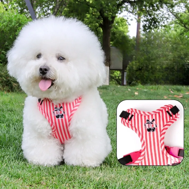 

Pet Vest Style Chest Strap Dog Leash To Prevent Breaking Free, Cute Leash for Small and Medium-sized Dogs