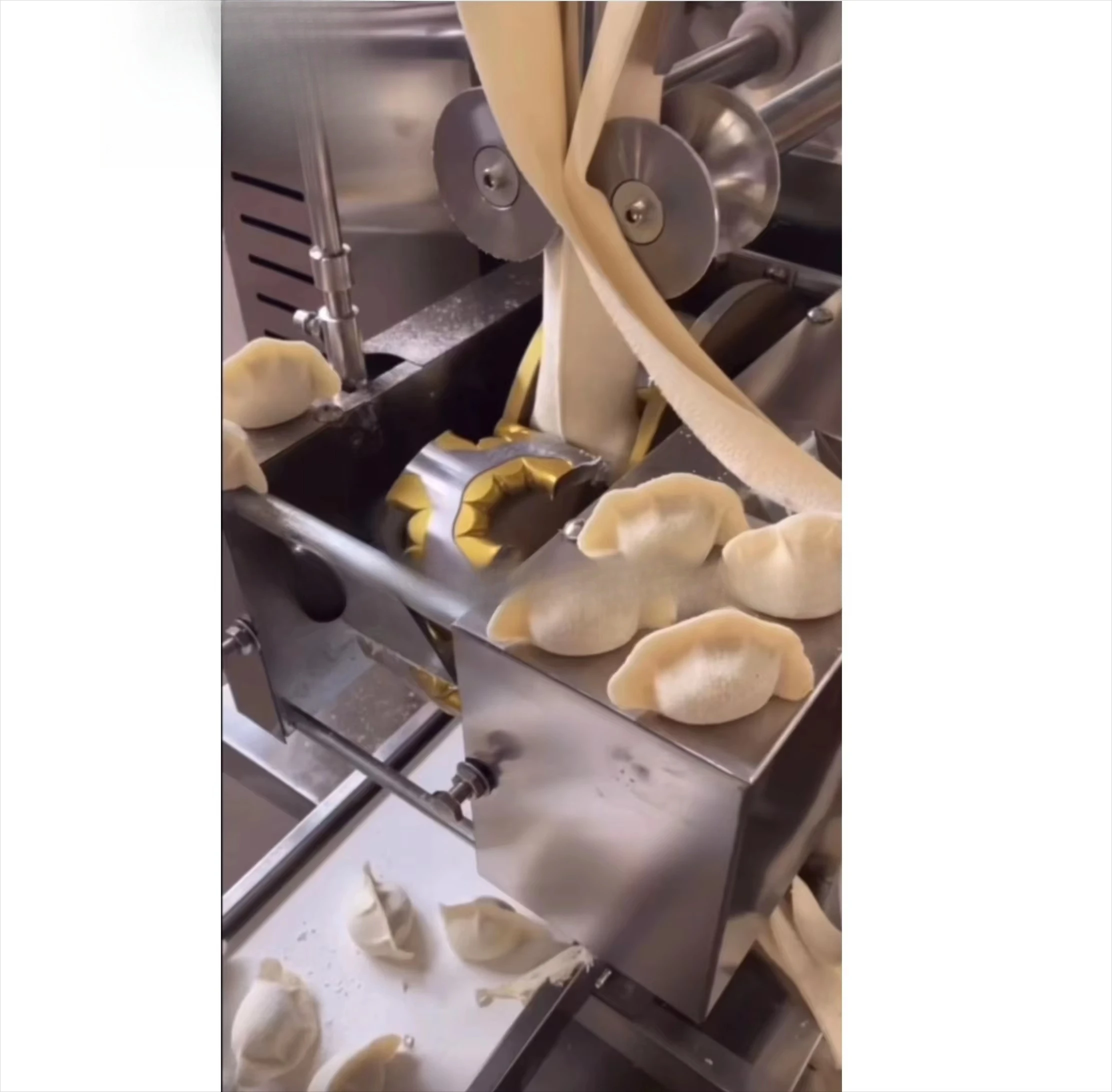 Industry Best Wonton Ravioli Sumai Dumpling Making Machine Wholesale Price