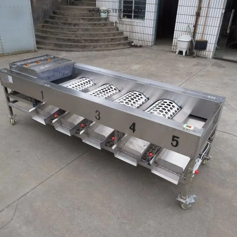 Fruit Sorting Machine/potato Grader/onion Selector for Sale Onion / Garlic Sorting Machine citrus /mango/pine