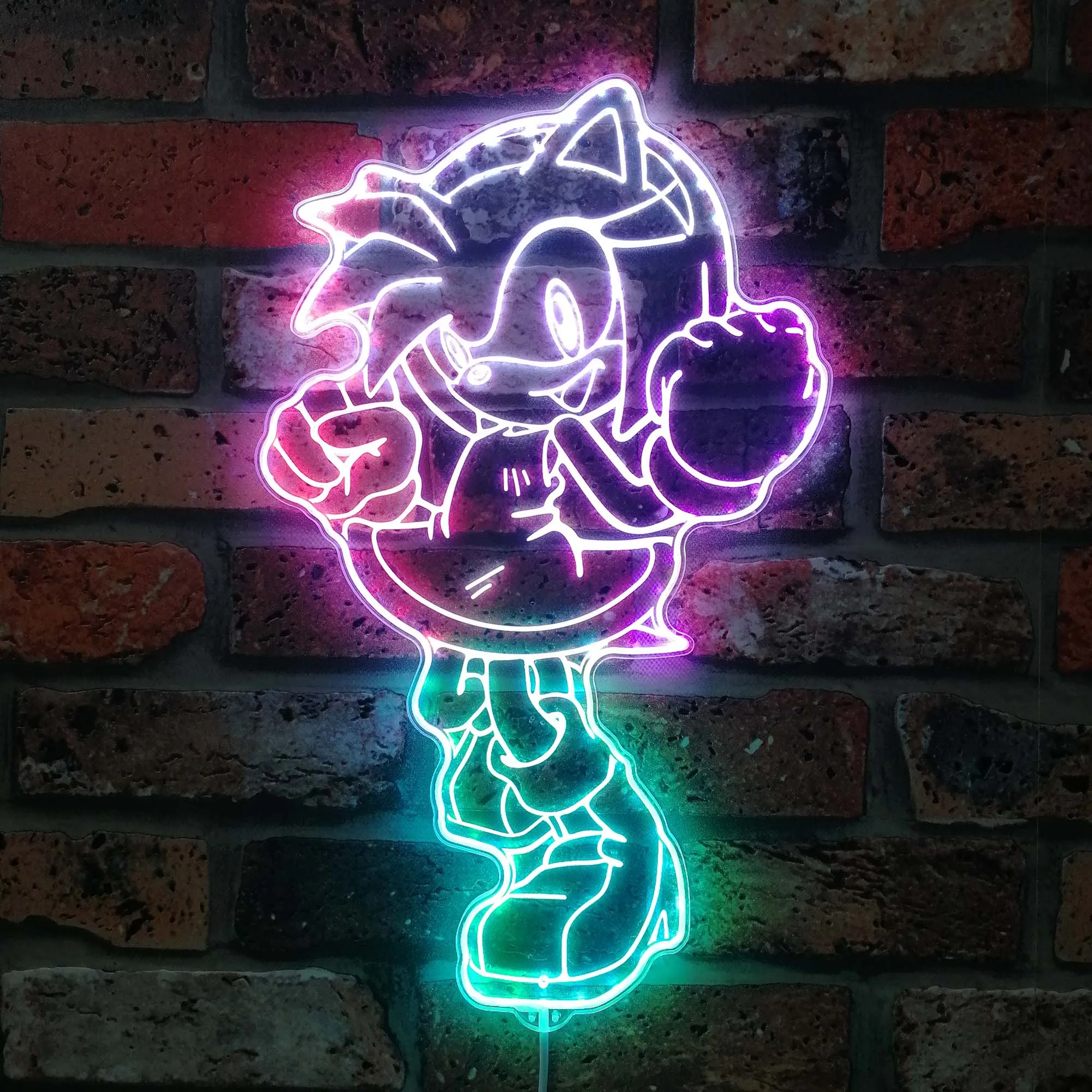 Amy Rose Dynamic RGB Edge Lit LED Sign, Game Room Decor, Gaming Night Light