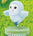 Blue Barn Owl