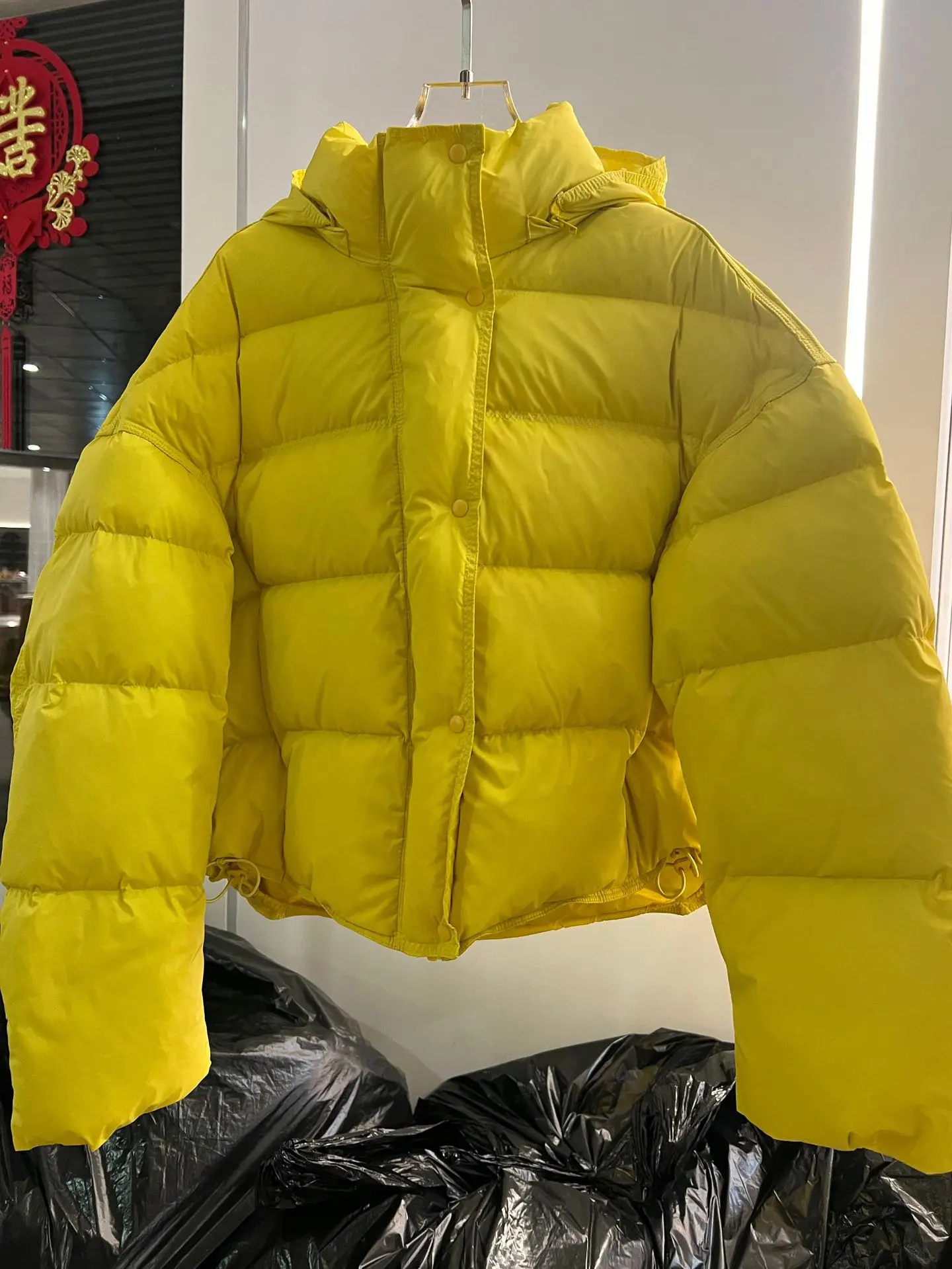 Korean Cropped Hooded Down Jacket for Women Winter Thickened White Duck Down Coats Woman Solid Color All Match Puffer Jackets