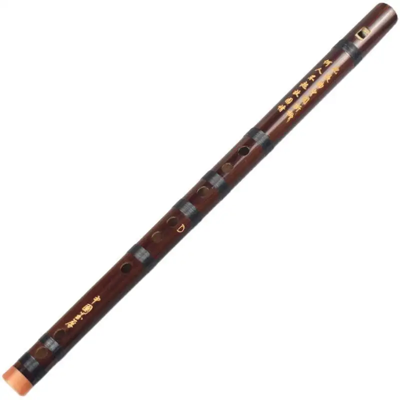 Recorder, a simple instrument for junior students, no membrane, professional playing, whistle flute, straight flute