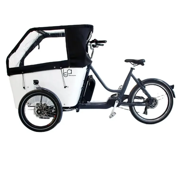 Custom 3 Wheels Electric Cargo Tricycle with Steel Frame Cargo Bike Electric Ladcykel Ebike Fahrrad Triciclo Bicicleta De Carga