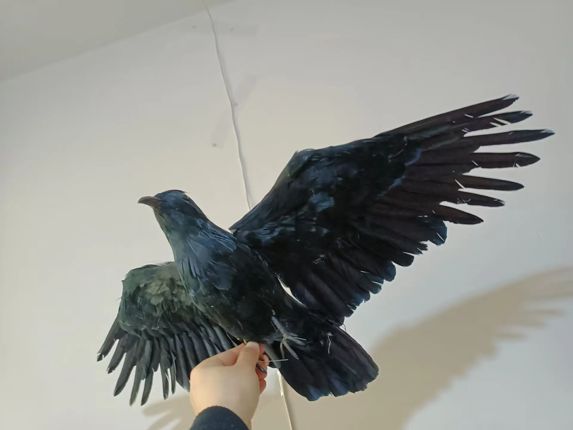 big black simulation foam and feather wings raven model gift about 40x70cm a0110