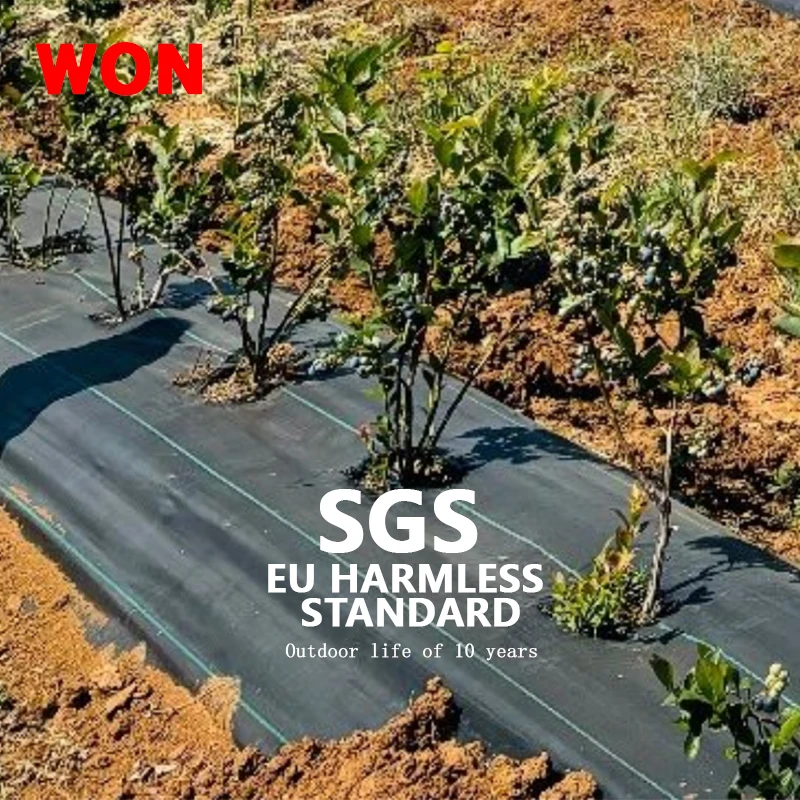 2025ทอผ้าควบคุมวัชพืชกระดาษคลุมพลาสติกการเกษตรหรือสวน