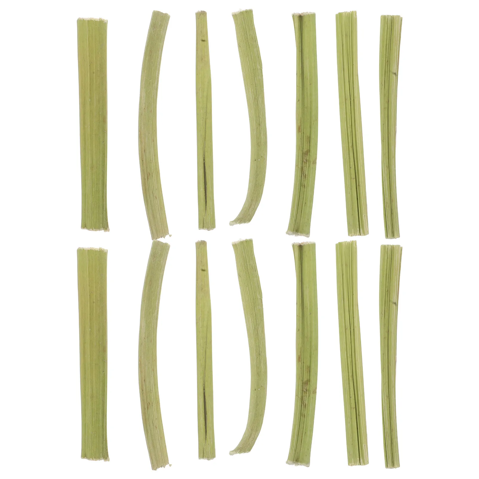 1Set Bunny Treats Natural Papaya Stem Chew Sticks Dental Care Rabbit Hamster Chinchilla Small Pet Chewing Snacks