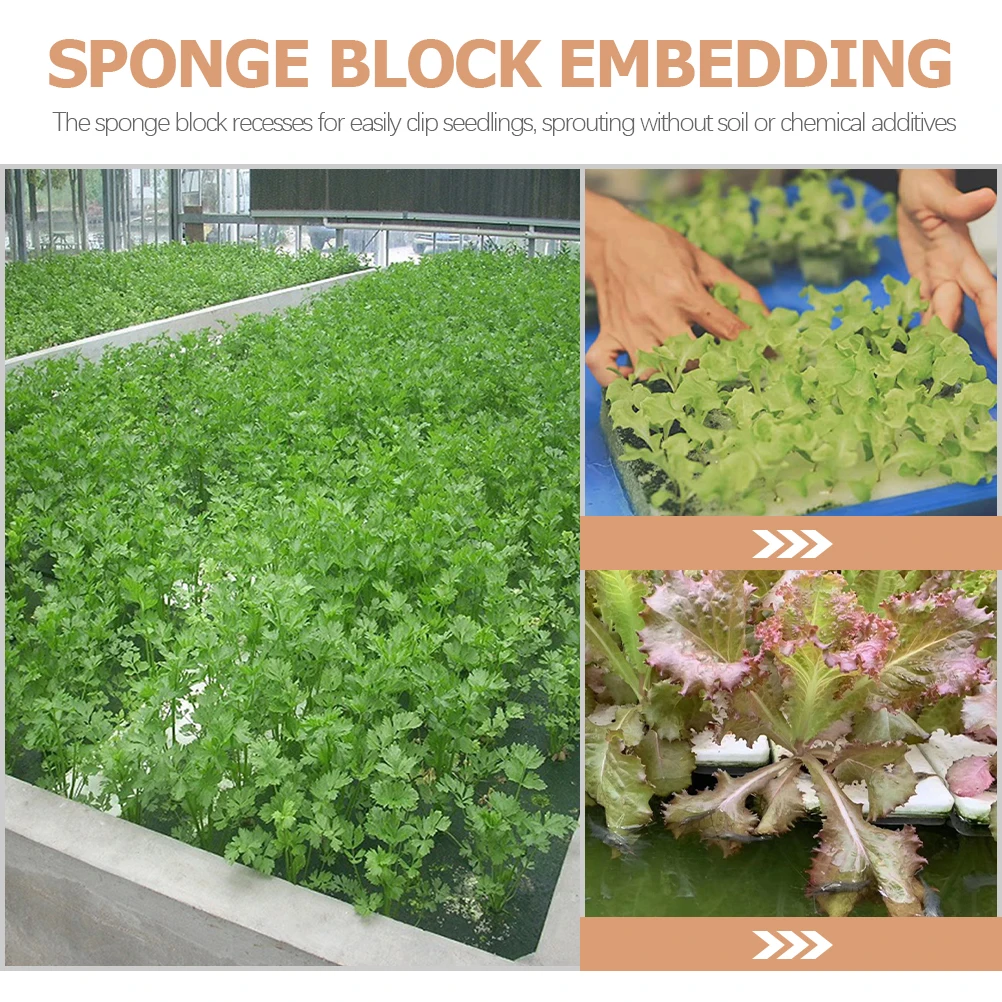 

2pcs Hydroponic Sponge Blocks Vegetable Planting Media Cubes Growing Accessories Durable Corrosion Resistant Soil-Free Sponge