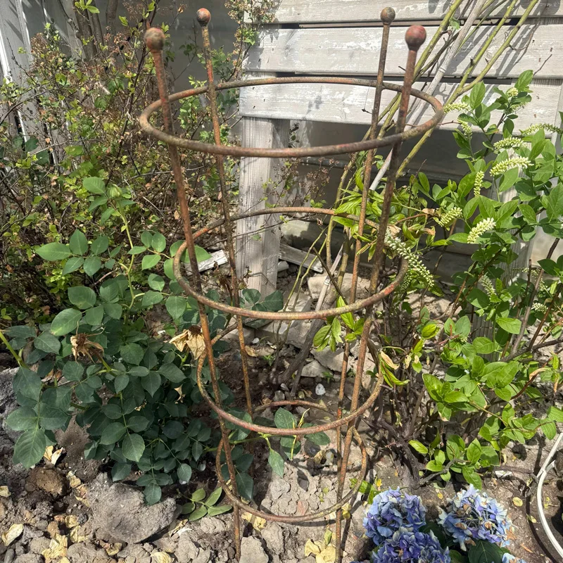 

Decorative Garden Spiral Plant Support Stake Set, Rustic Metal, Round Climbing Trellis for Vines