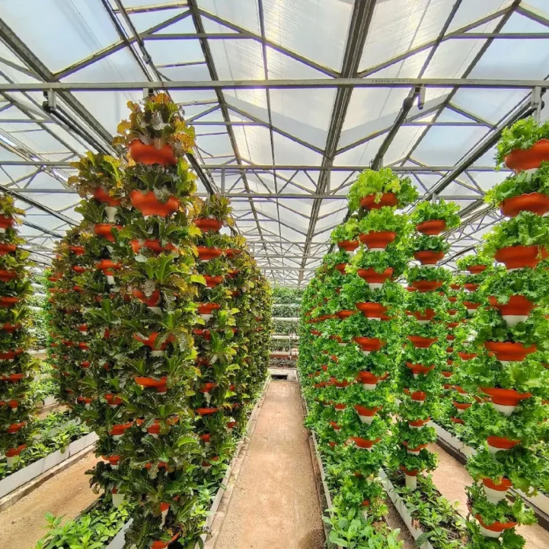 

Customized greenhouseFavorable Price PC Hollow Polycarbonate Board Greenhouse for Agriculture/Livestock Husbandry/Flower Garden/