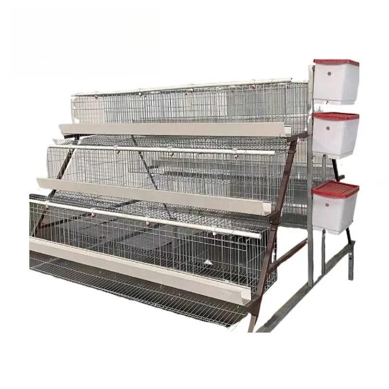 Large space for laying hen breeding cages with large location and large number of breeding