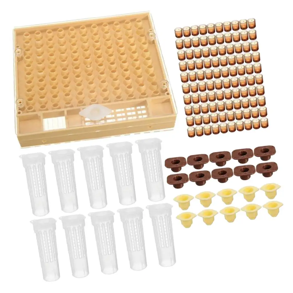 Cell Bar Holder Que…