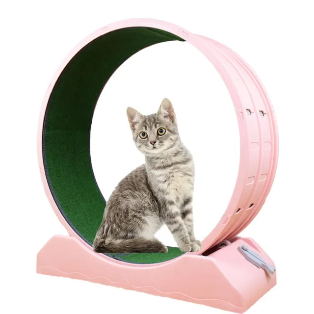 Interactive pet toy Cat Quiet exercise treadmill Cat climbing frame wheels Exercise running wheel