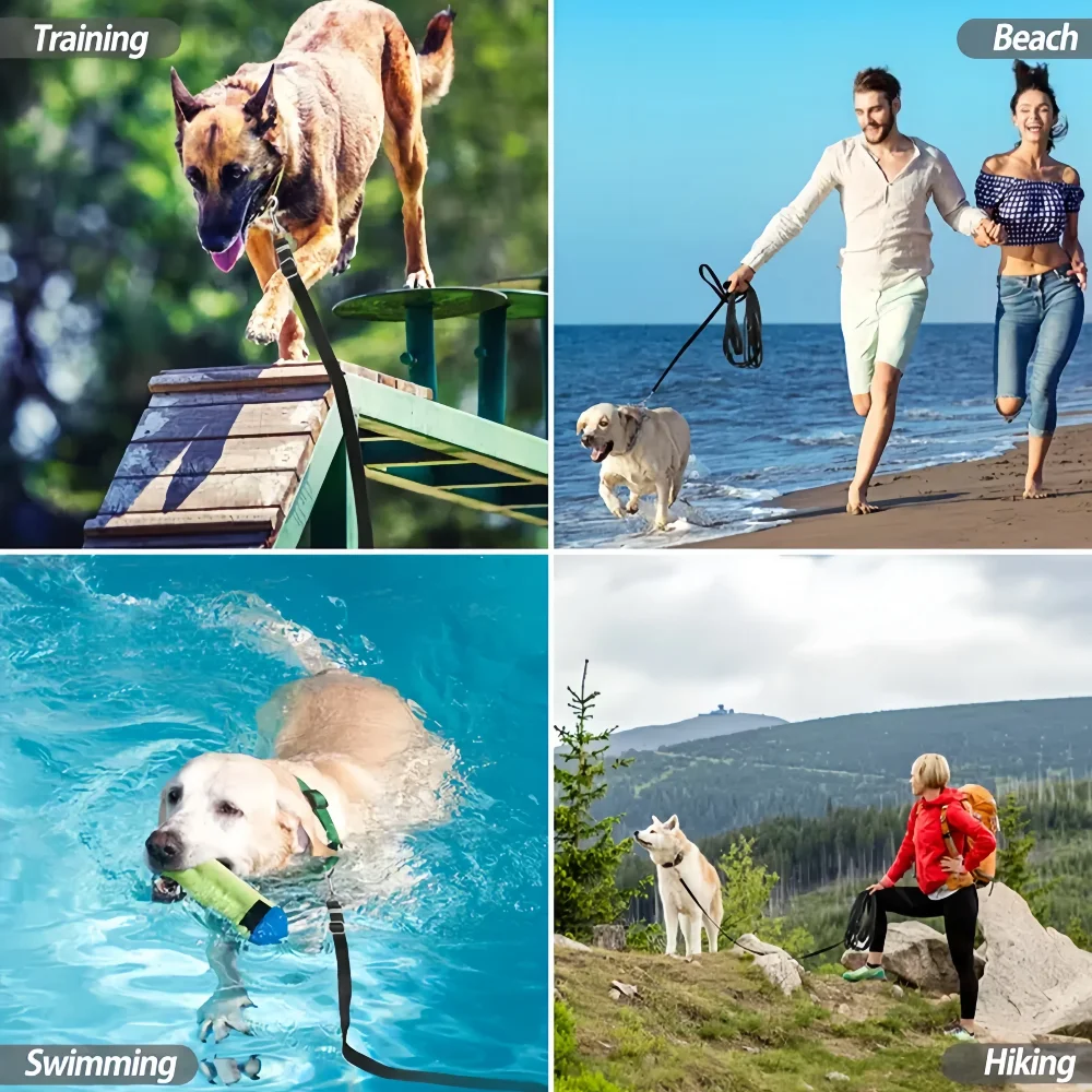 Reflective Nylon Dog Leash For Walking And Training Small Dogs_voghion.com