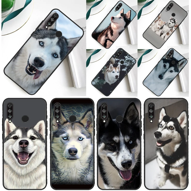 Siberian Husky Sled… - image