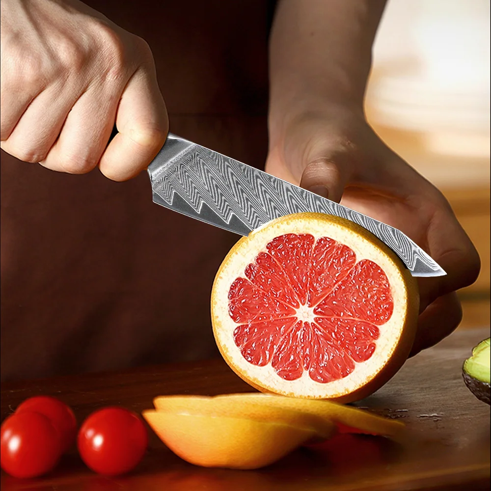 F.YOUNG 5 Inch Utility Knife 67 Layer Damascus Steel Fruit Peeling Knife Vegetable Meat Chef Knife Multifunctional Kitchen Tools