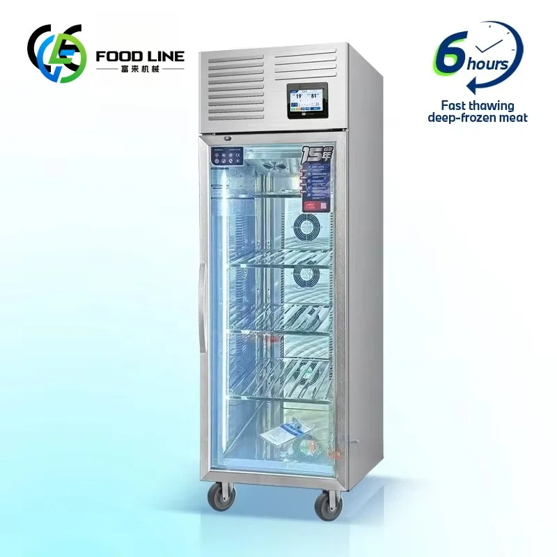 Commercial Meat Defrosting Machine Electrostatic Thawing Cabinet Efficient for Pork Lamb Beef Restaurant Supermarket Use