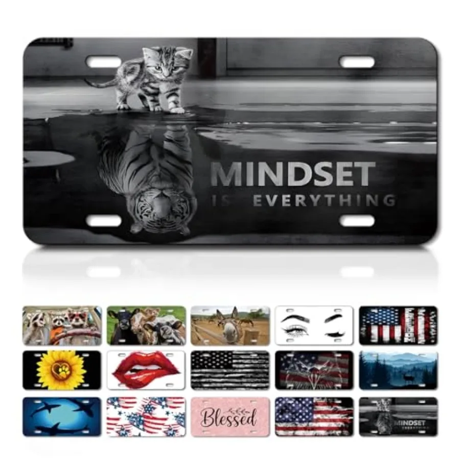 

Decorative Front License Plate Cover, Rust-Proof Aluminum Car Vanity Tag, 6x12 Inch with 4 Holes, Personale Noverlty License Pl