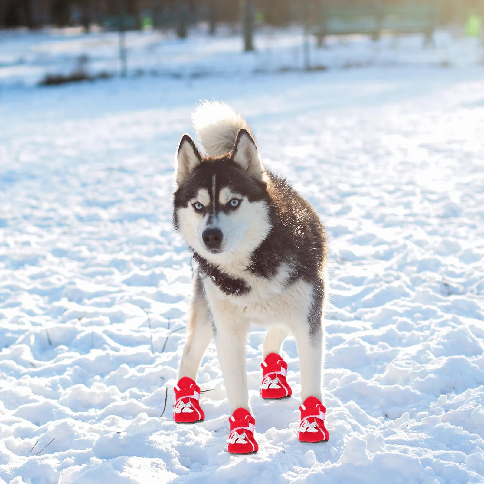 

4 Pcs Pet Cotton Shoes Dog Boots Outdoor Paw Protectors Winter Warm Puppy Snowshoes Footwear
