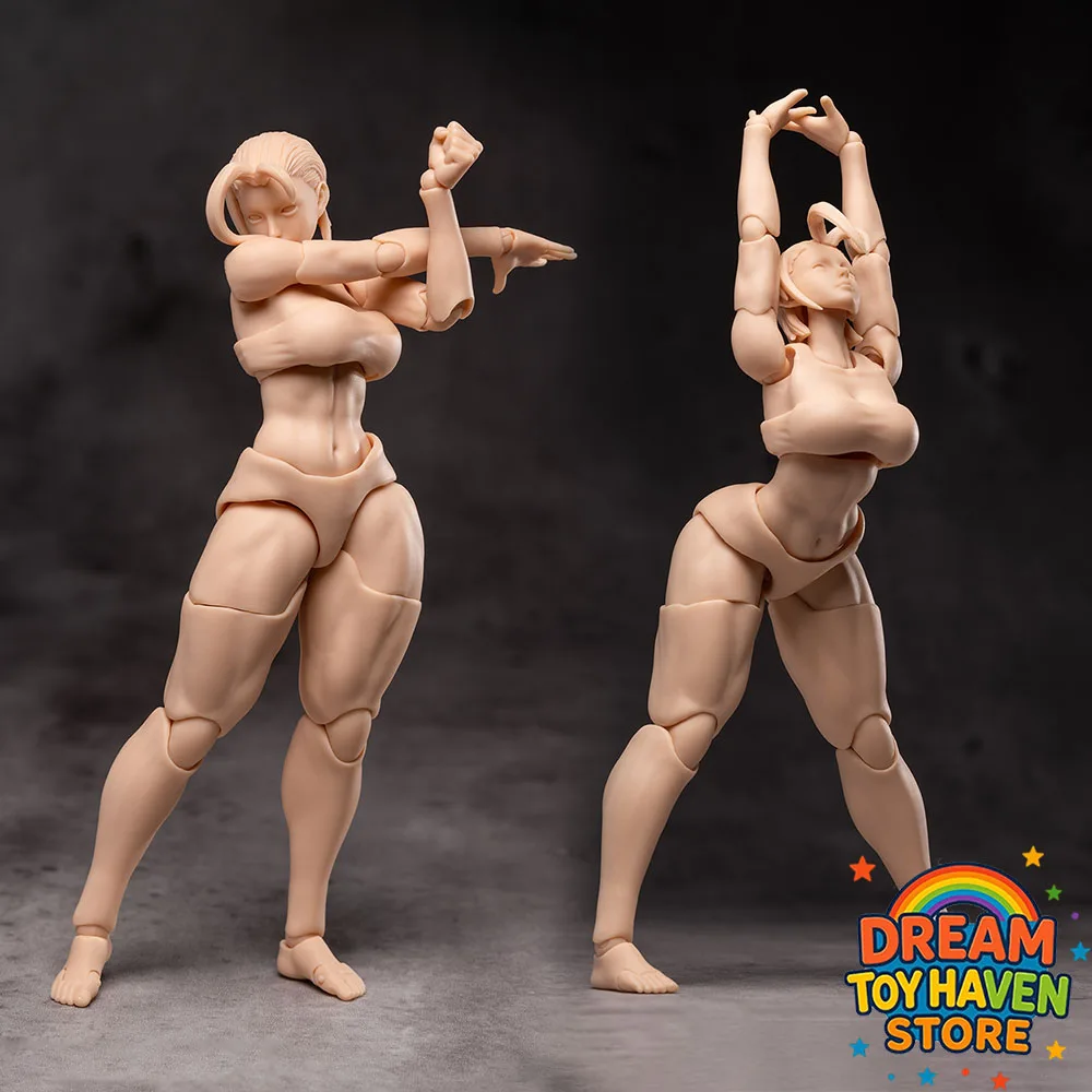 

WW01/02 1/12 Women Soldier Street Game Fighting Girl Cammy White Chunli Joint Body 6Inch Articulated Doll Action Figure Model