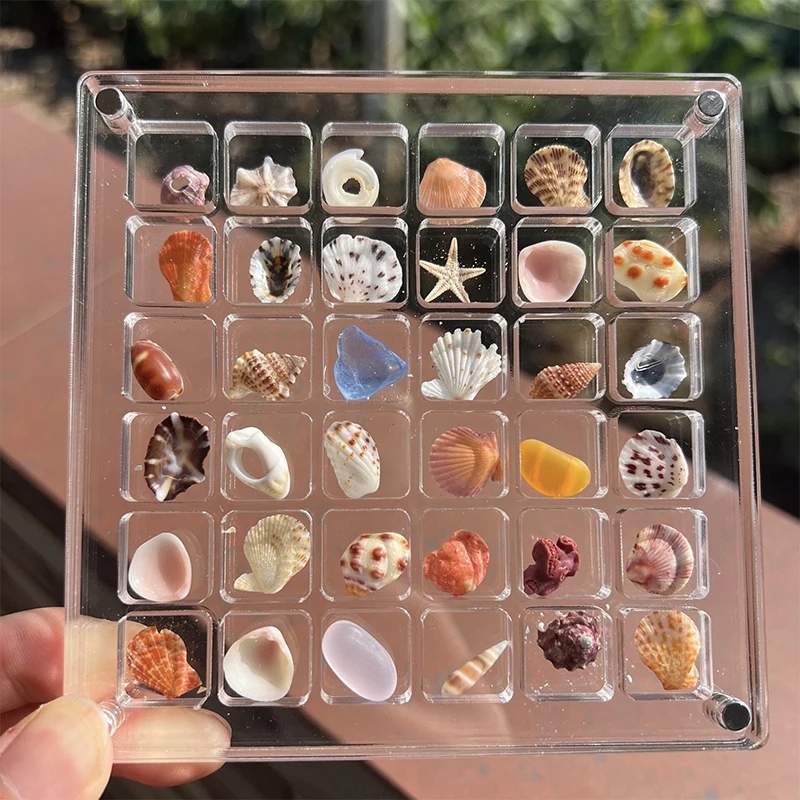 Acrylic Magnetic Seashell Display Box Seashell Clear Starfish Trinket Organizers 36/64/100 Grids Mini Seashell Storage Box
