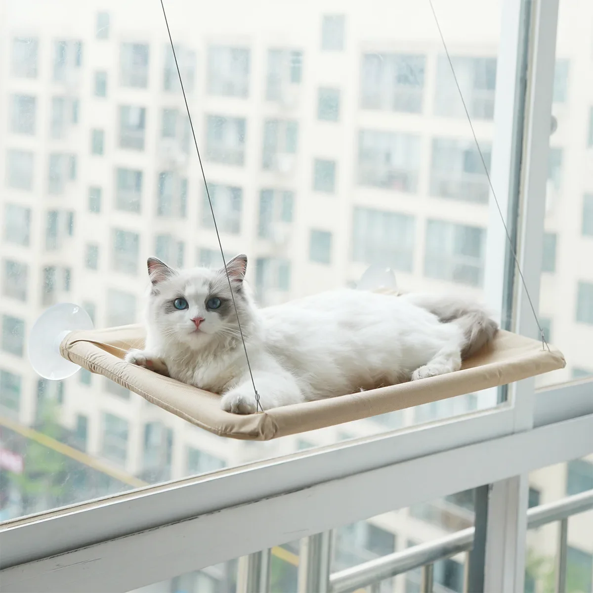 20KG Pet Cat Hammock Hanging Cat Bed Bearing Comfortable Cat Sunny Window Seat Mount Kitten Climbing Frame Pet Accessories