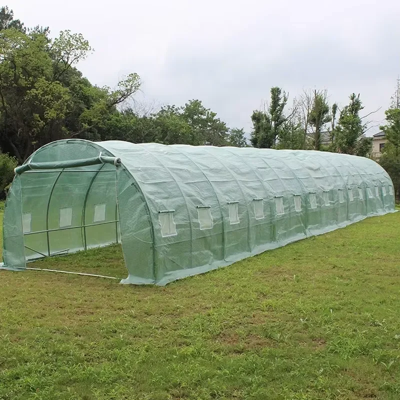 Four Season Steel Pipe Greenhouse Set with UV Protection Eco-Friendly Waterproof for Custom China Wholesale