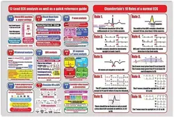 ECG Analysis Knowledge Metal Signs Vintage12-Lead ECG Analysis As Well As A Quick Reference Guide Poster Printing Chamberlain
