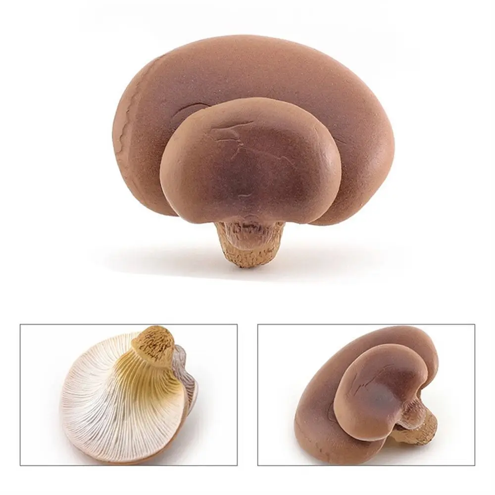 Vegetable Model Fungus Figurines Landscape Miniatures Matsutake Oyste Simulation Mushroom Teaching Plant Fungus Model