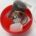 Hachi cat