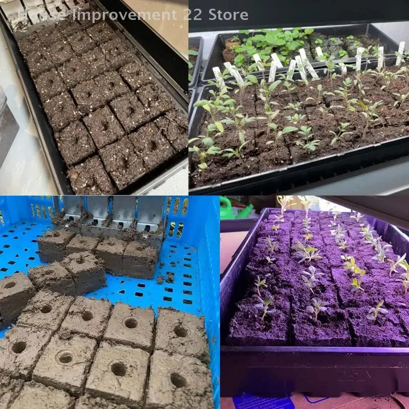 8-cellen draagbare bodemblokkeringsgereedschapsset met 3 maten zaadpinnen voor zaadstartbak buitenbeplanting