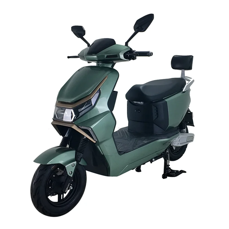 Top Selling Fast Shipment 1000W 45km/h Electric Bicycle  Electric Motorcycle
