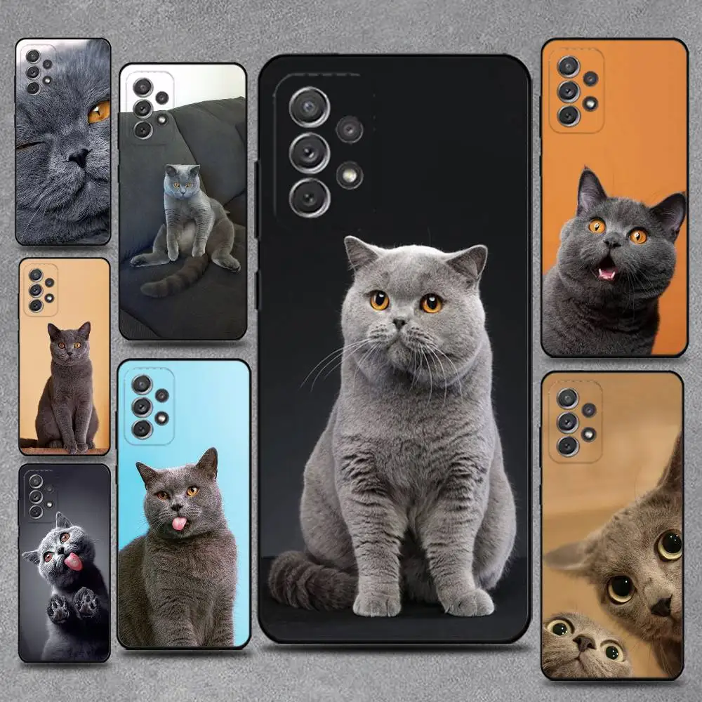 

British Shorthair Phone Case For Samsung S25,S24,S21,S22,S23,S30,Ultra,S20,Plus,Fe,Lite,Note,10,9,5G Black Cover