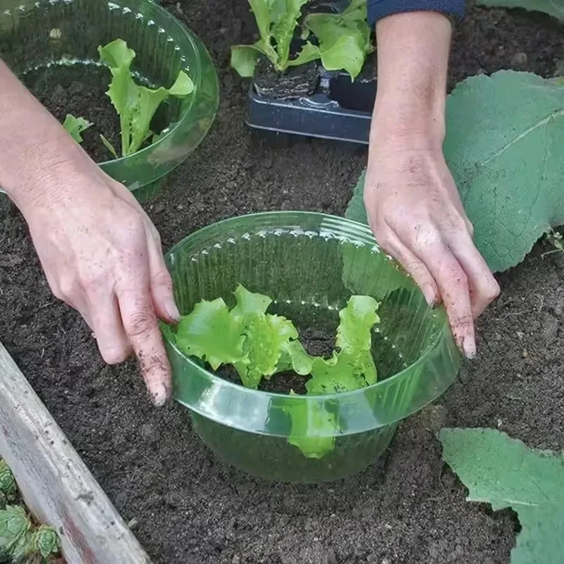 2026 NEW HOT 8pcs Snail Collars Slug Plant Protection Collars Vegetables Covers Reusable Agricultural Plant Snail Guard Water