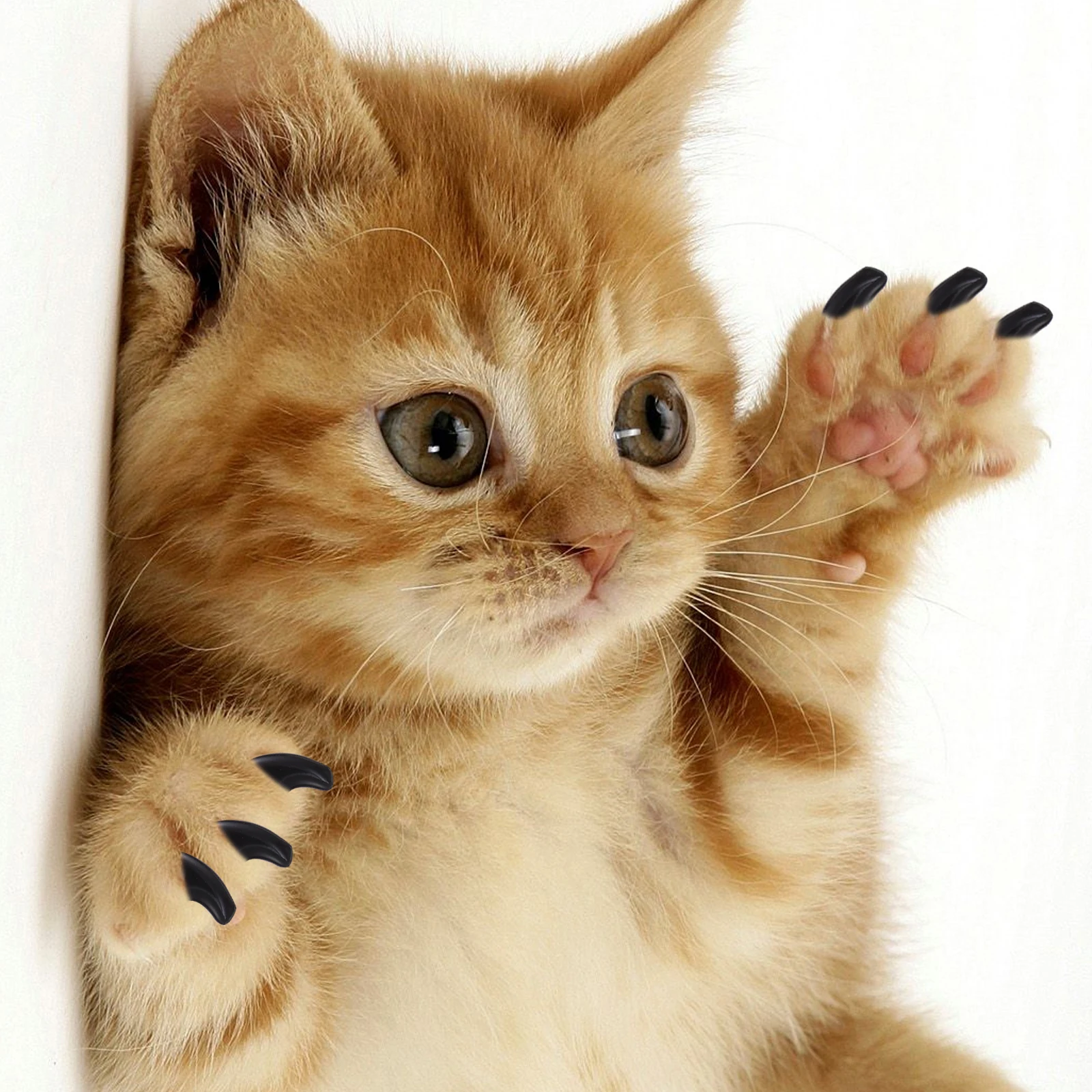 

80 Pcs Nail Cover Glue Set Caps Pet Claw Accessories Assorted Silica Gel Silicone