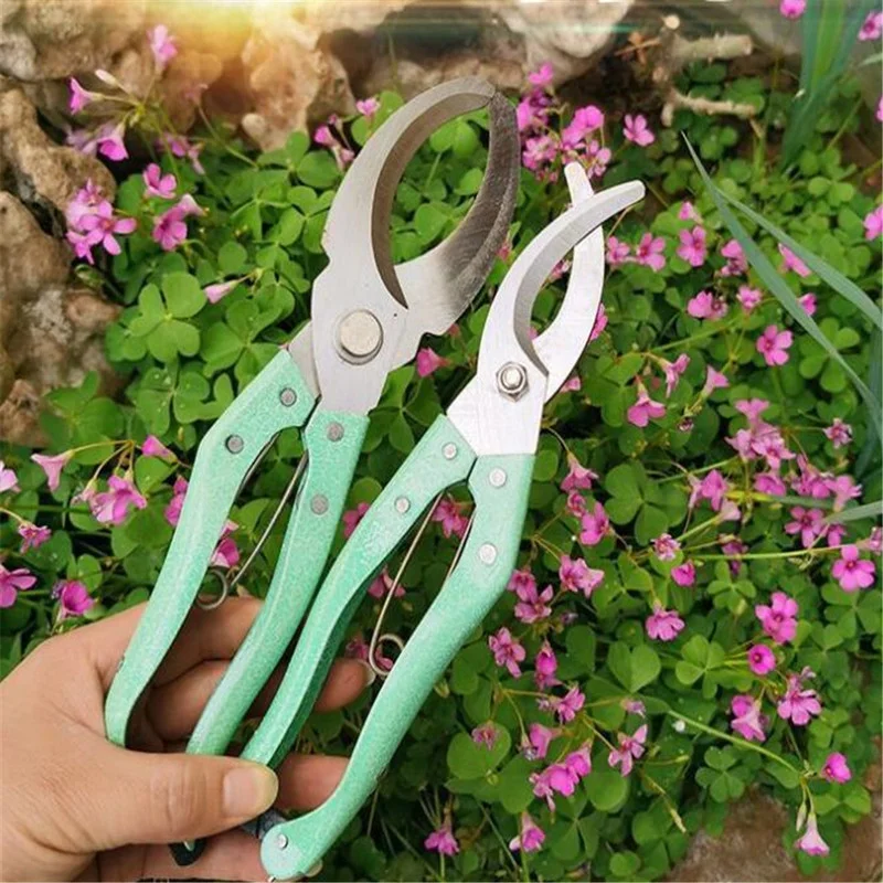 Descascador de árvores frutíferas, tesoura de poda, corte de anel, tesoura de jardim, faca de descascar, cortador de anel, secateurs, podador afiado