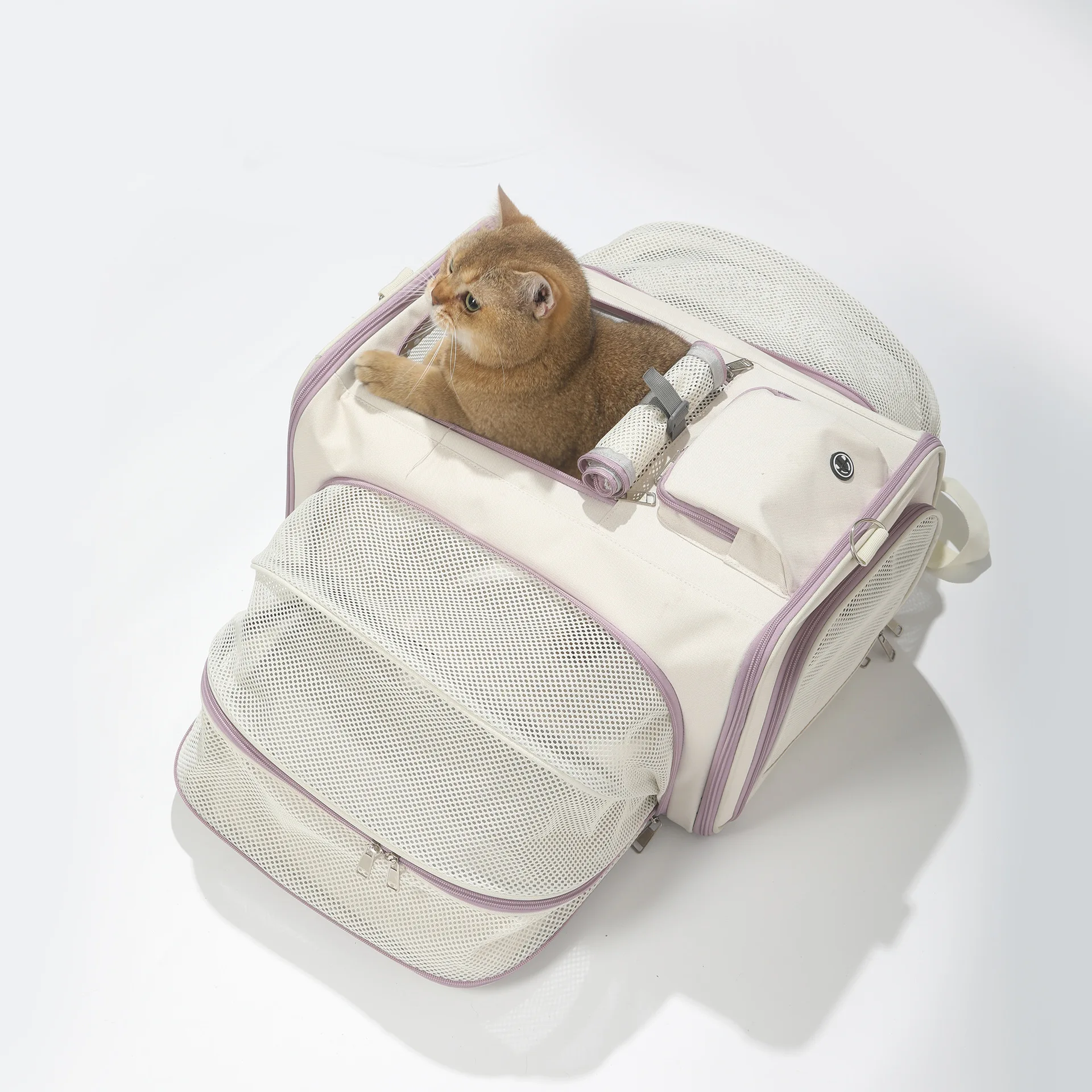 

Fixed Shoulder Strap Retractable Handle Foldable Pet Portable Bag Suitable for Travel Camping for Dogs and Cats