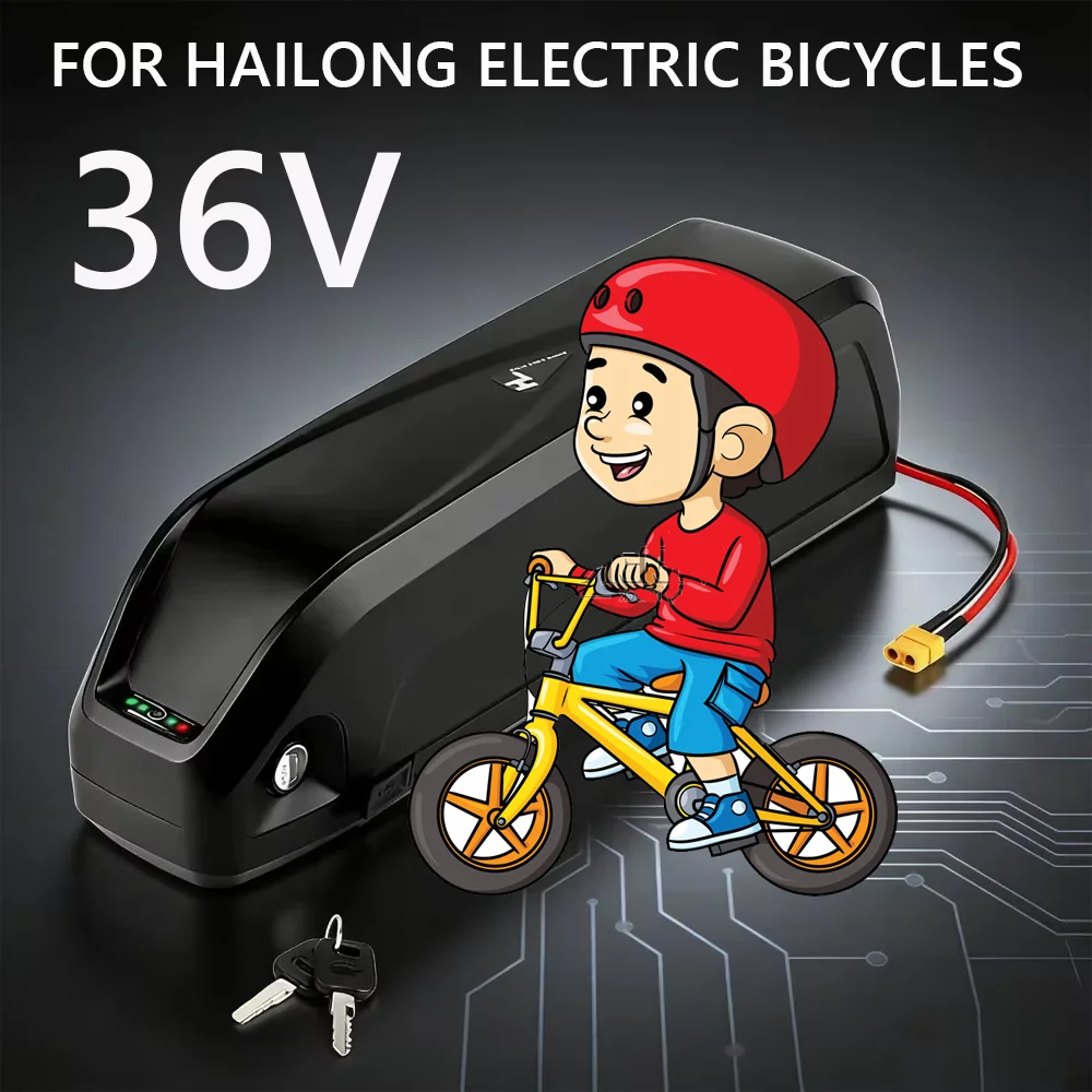 Hailong Battery 36V…