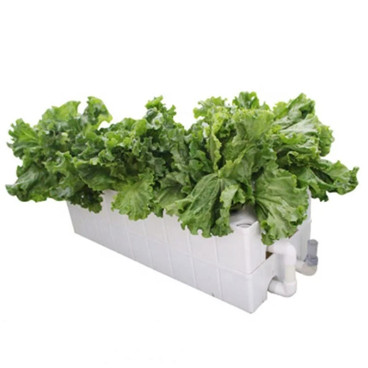 Indoor home used NFT hydroponic systems grow planter box