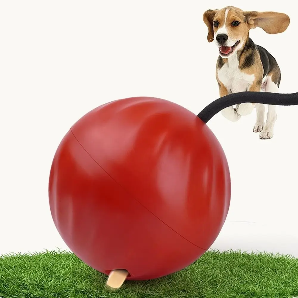 

New PP Dog Squeaky Toys TPR Red Dog Tibetan Food Toys HIPS Pet Sniffing Toy Small Medium Large Dog