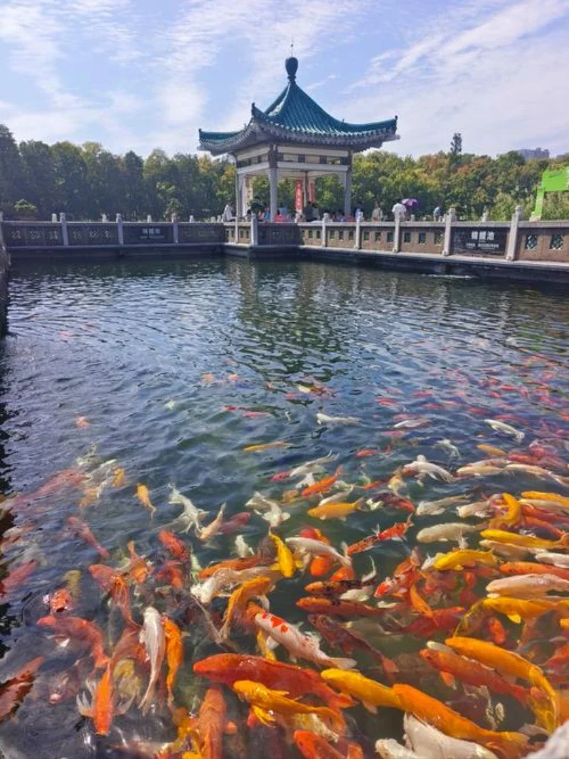 

Брызговики для VOLVO XC90 XC60 2005-2021, передние и задние, защита от брызг, грязезащитные щитки, крылья