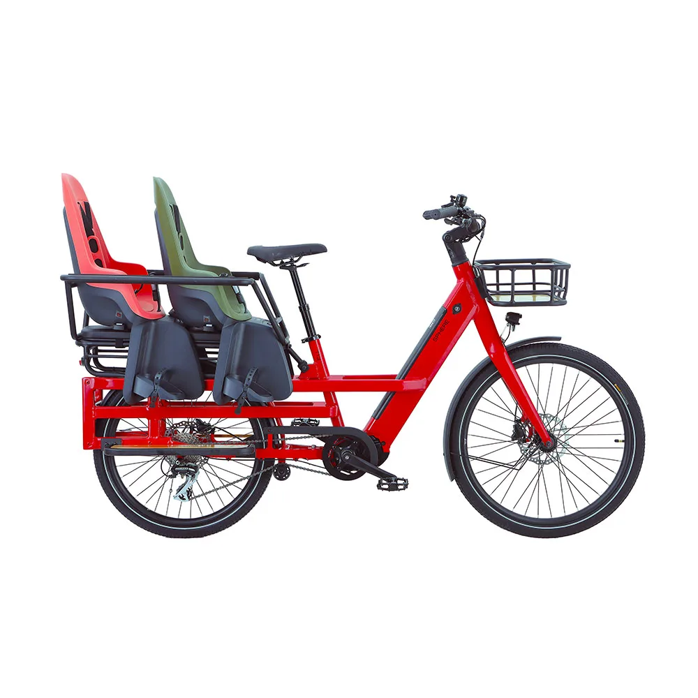 New Electric Cargo Bikes 2 wheels cargo bike electric ebike e-cargo family e bicycle Cargo 250w Bafang Motor long john bike