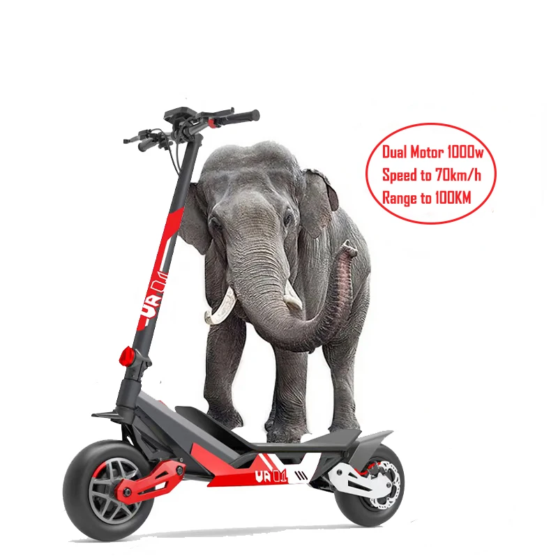 

OEM Factory Electric Scooter 1kw Dual Motor 11inch 52V 23AH 43.5MPH Disc Brake Offroad Electric Scooter For Men