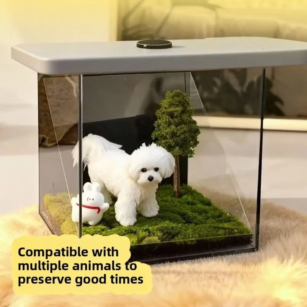 Acrylic Pet Holographic Projection Digital House Pet Souvenirs 3D Cat Projection Box Pet Projection Souvenir Tool Dog Video Box