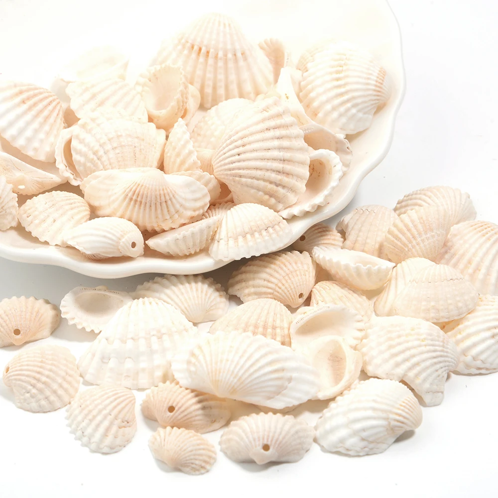 40 gr/los Natürliche Muscheln Perlen Charme Weiß Jakobsmuschel Lose Perlen für Schmuck Handwerk Hause Hochzeit DIY Armband Ohrring Zubehör