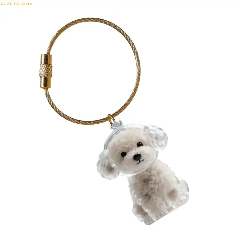 W3JE Dog Hair Memorial Box Clear Clean Display Box
