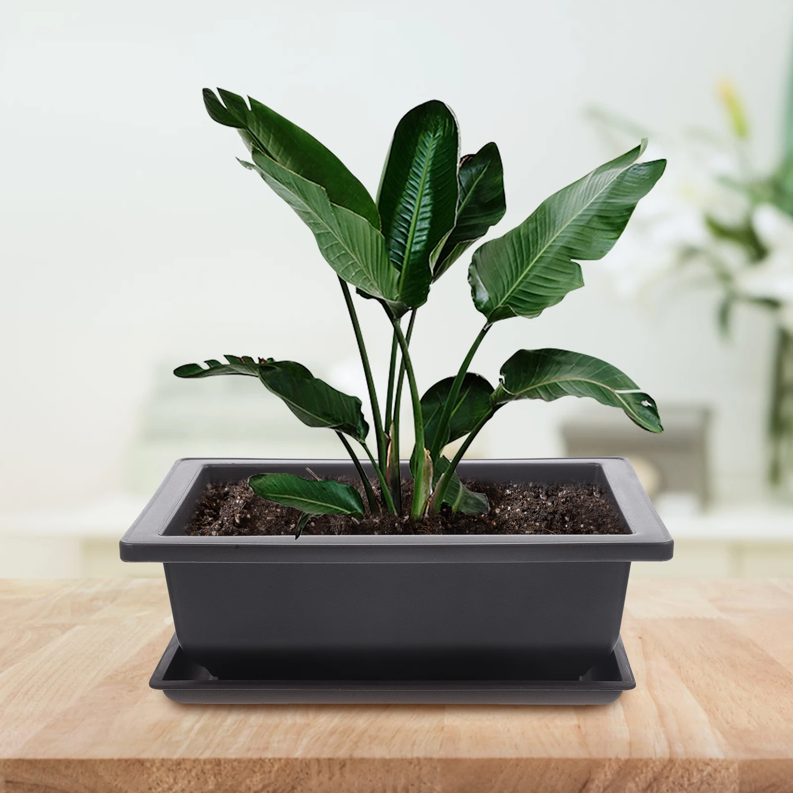 

Garden Plastic Flower Pot Set Indoor Square Nursery Pots with Tray Office Drainage