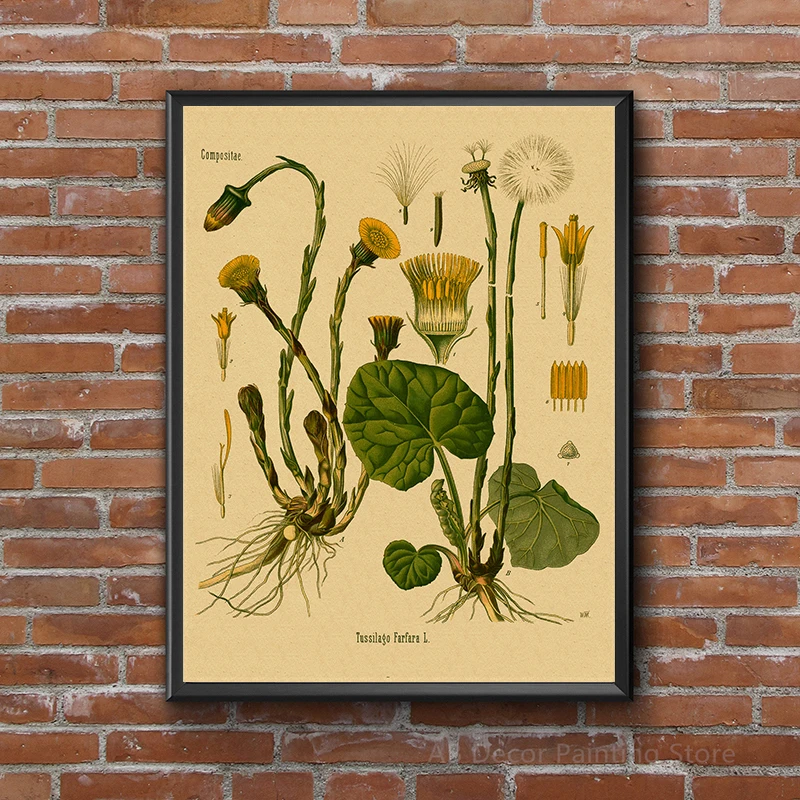 1 pezzo di poster retrò senza  - Live Plant Fertilizer recensione e prezzo