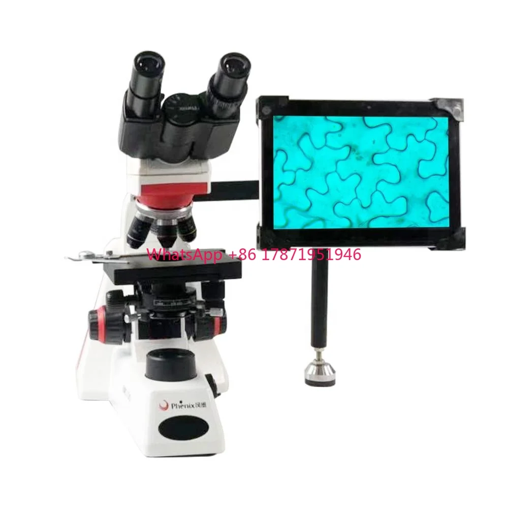 BMC100 series 10.1 inch  lcd screen biological digital binocular microscope for medical