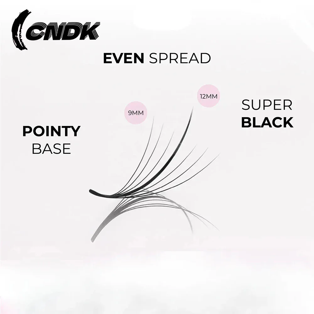 1000FANS Mix Box Pointy Base Wispy 5D 7D 9D Promade Volume Fan Eyelash Wispy Extension Loose Fans Sandwich Spikes False Lashes